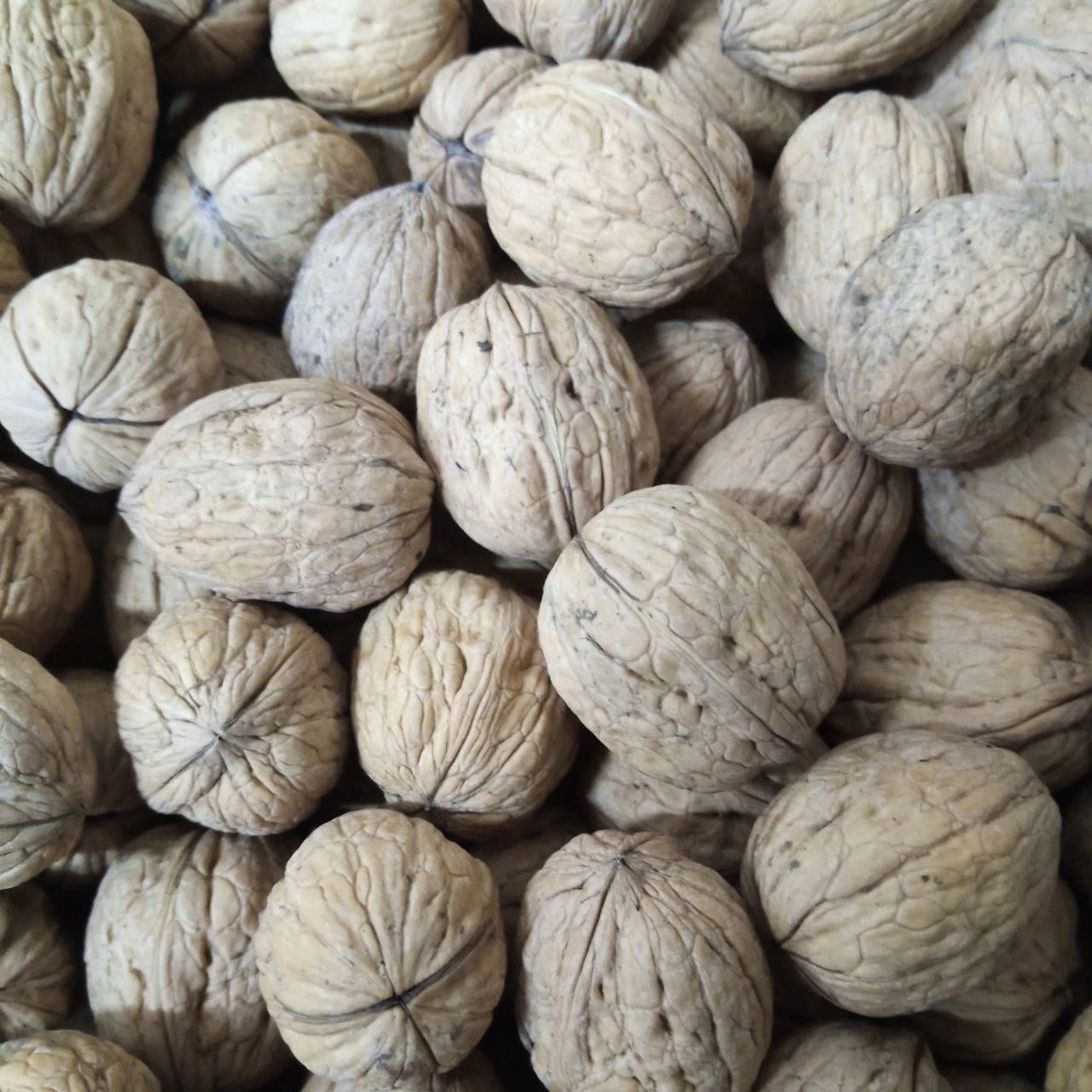 Walnut oil