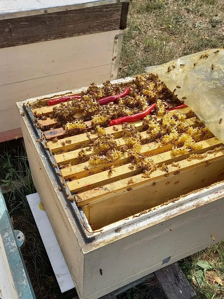 Natural honey